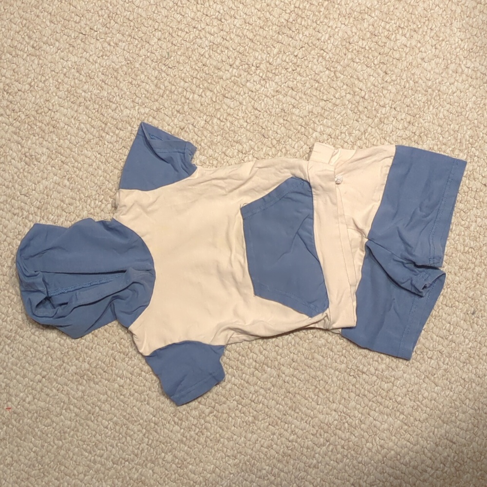 Blue and White Hoodie Set 12-18 months